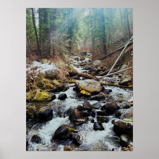 Wilde afdrukken poster (Voorkant)