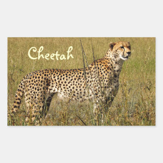 Wilde Afrikaanse Cheetah in Savannah Grasses Rechthoekige Sticker