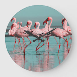 Wilde Afrikaanse flamingo's Grote Klok