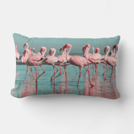 Wilde Afrikaanse flamingo's Kussen