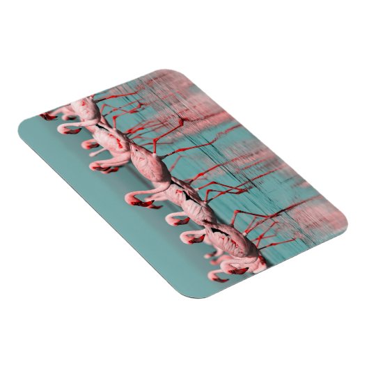 Wilde Afrikaanse flamingo's Magneet (Rechterzijde)