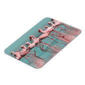 Wilde Afrikaanse flamingo's Magneet (Linkerzijde)