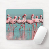 Wilde Afrikaanse flamingo's Muismat (Met muis)