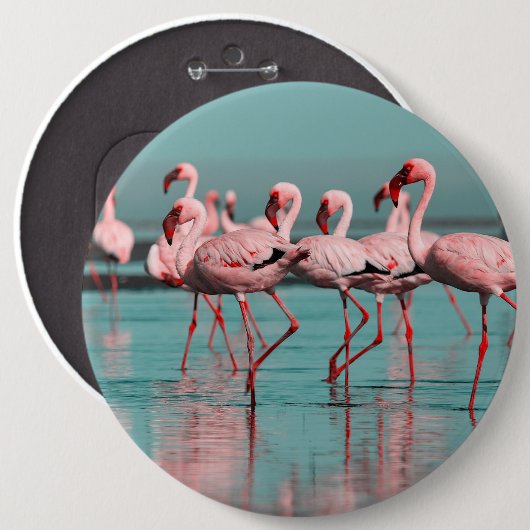 Wilde Afrikaanse flamingo's Ronde Button 6,0 Cm (Voorkant /achterkant)