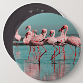 Wilde Afrikaanse flamingo's Ronde Button 6,0 Cm