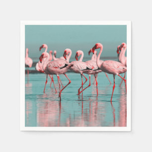 Wilde Afrikaanse flamingo's Servet