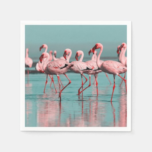 Wilde Afrikaanse flamingo's Servet (Voorkant)