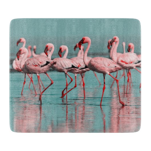 Wilde Afrikaanse flamingo's Snijplank (Voorkant)