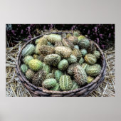 Wilde Afrikaanse komkommer Poster (Voorkant)