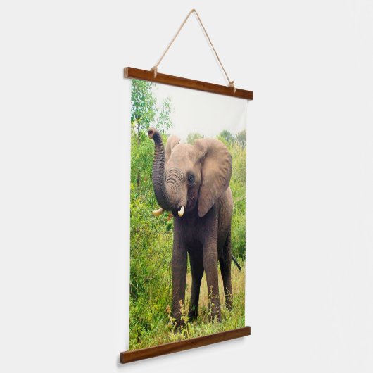 Wilde Afrikaanse olifant op het Oerwoud Hangend Wandkleed (Gebogen)