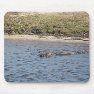 Wilde Alligator aan de Rivieroever – Florida Natuu Muismat