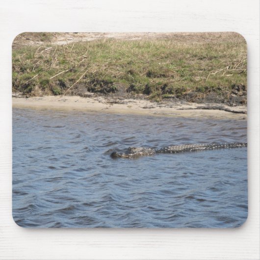 Wilde Alligator aan de Rivieroever – Florida Natuu Muismat (Voorkant)