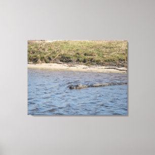 Wilde alligator aan de rivieroever – Florida Wildl Canvas Afdruk