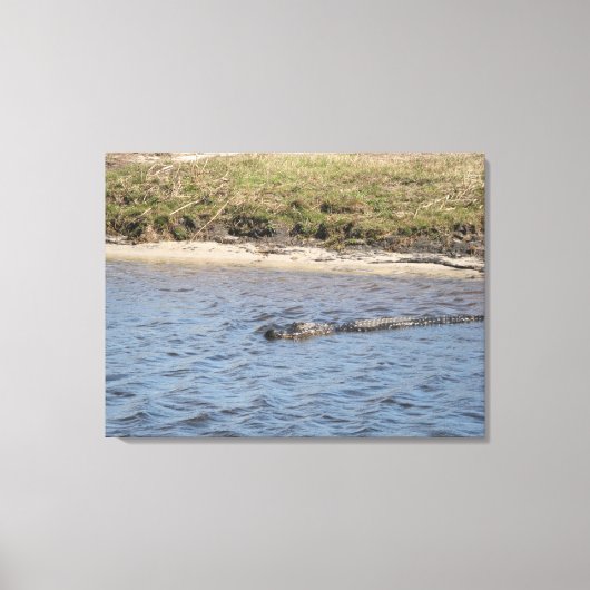 Wilde alligator aan de rivieroever – Florida Wildl Canvas Afdruk (Voorkant)