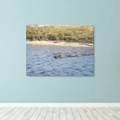 Wilde alligator aan de rivieroever – Florida Wildl Canvas Afdruk (Insitu (Houten vloer))