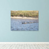 Wilde alligator aan de rivieroever – Florida Wildl Canvas Afdruk (Insitu (Houten vloer))