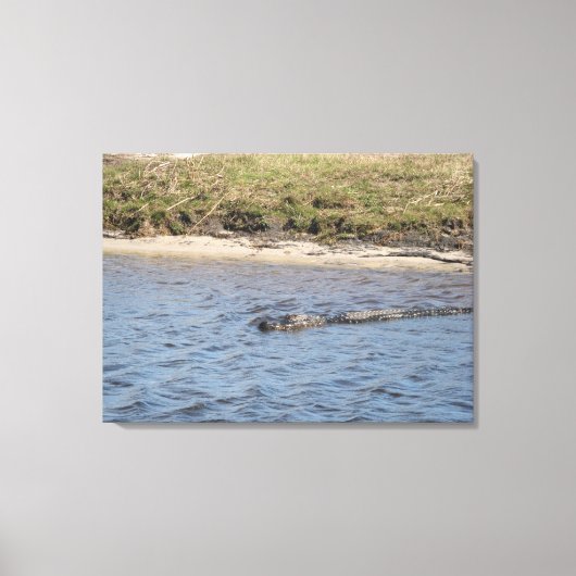 Wilde alligator aan de rivieroever – Florida Wildl Canvas Afdruk (Voorkant)
