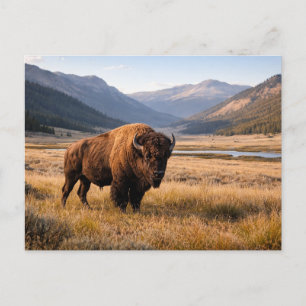 Wilde Amerikaanse Bizons Berglandschap Briefkaart