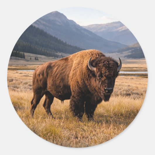 Wilde Amerikaanse bizons Ronde Sticker (Voorkant)