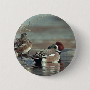 wilde Amerikaanse wigeon eend knop Ronde Button 5,7 Cm