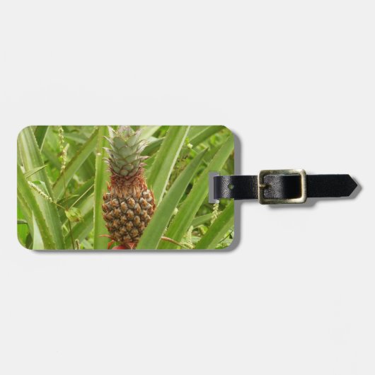 Wilde ananas tropische vruchten in Natuur Bagagelabel (Voorkant horizontaal)