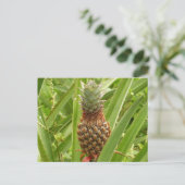 Wilde ananas tropische vruchten in Natuur Briefkaart (Staand voorkant)