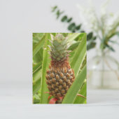 Wilde ananas tropische vruchten in Natuur Briefkaart (Staand voorkant)