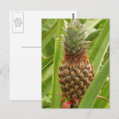 Wilde ananas tropische vruchten in Natuur Briefkaart (Voorkant / Achterkant)