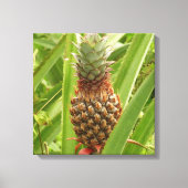Wilde ananas tropische vruchten in Natuur Canvas Afdruk (Voorkant)