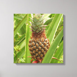 Wilde ananas tropische vruchten in Natuur Canvas Afdruk
