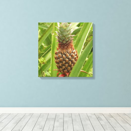 Wilde ananas tropische vruchten in Natuur Canvas Afdruk (Insitu (Houten vloer))