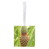 Wilde ananas tropische vruchten in Natuur Decoratie (Rechts)