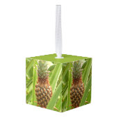 Wilde ananas tropische vruchten in Natuur Decoratie (Achter hoekig)