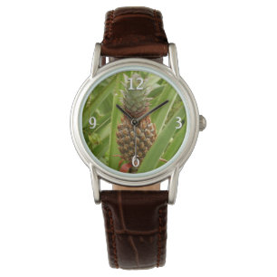 Wilde ananas tropische vruchten in Natuur Horloge
