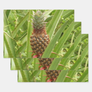 Wilde ananas tropische vruchten in Natuur Inpakpapier Vel