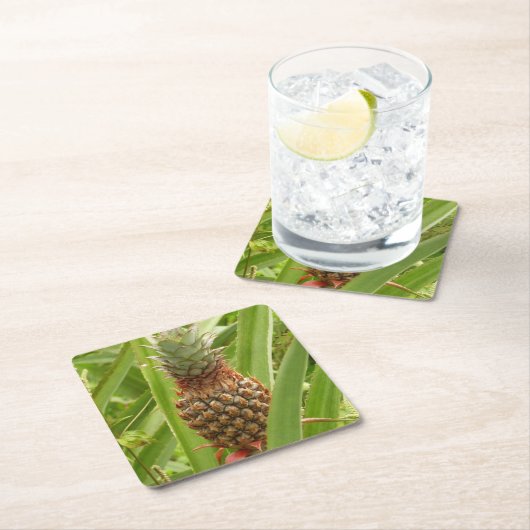 Wilde ananas tropische vruchten in Natuur Kartonnen Onderzetters (Insitu)