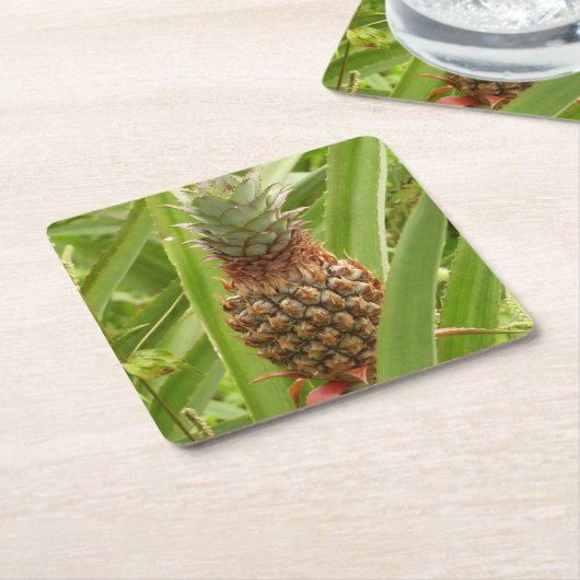 Wilde ananas tropische vruchten in Natuur Kartonnen Onderzetters (Schuin)