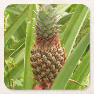 Wilde ananas tropische vruchten in Natuur Kartonnen Onderzetters