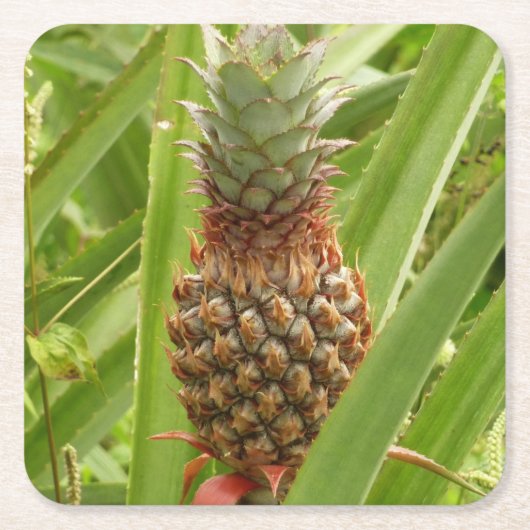 Wilde ananas tropische vruchten in Natuur Kartonnen Onderzetters (Voorkant)