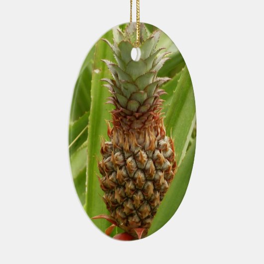 Wilde ananas tropische vruchten in Natuur Keramisch Ornament (Rechts)