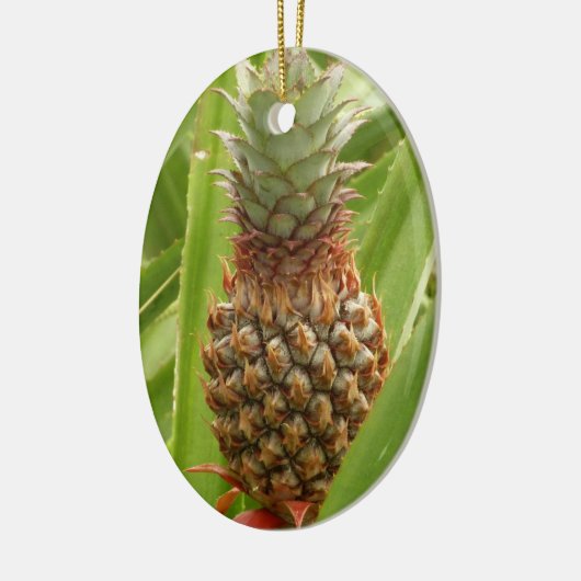Wilde ananas tropische vruchten in Natuur Keramisch Ornament (Links)