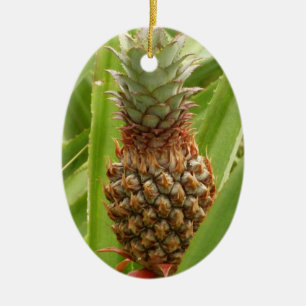 Wilde ananas tropische vruchten in Natuur Keramisch Ornament