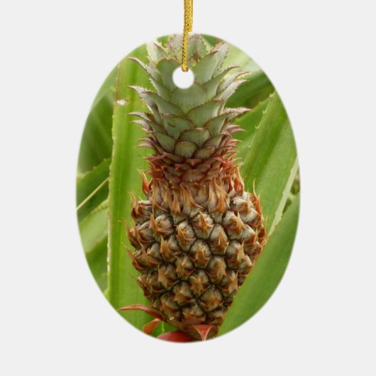 Wilde ananas tropische vruchten in Natuur Keramisch Ornament (Voorkant)