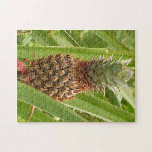Wilde ananas tropische vruchten in Natuur Legpuzzel (Horizontaal)