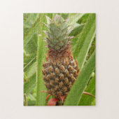 Wilde ananas tropische vruchten in Natuur Legpuzzel (Verticaal)