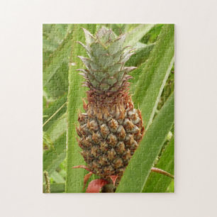 Wilde ananas tropische vruchten in Natuur Legpuzzel