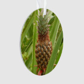 Wilde ananas tropische vruchten in Natuur Ornament (voorkant)