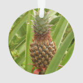 Wilde ananas tropische vruchten in Natuur Ornament (achterkant)