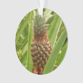 Wilde ananas tropische vruchten in Natuur Ornament (voorkant)