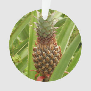 Wilde ananas tropische vruchten in Natuur Ornament